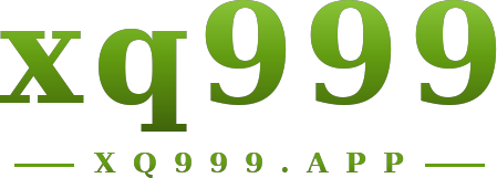 xq999 logo